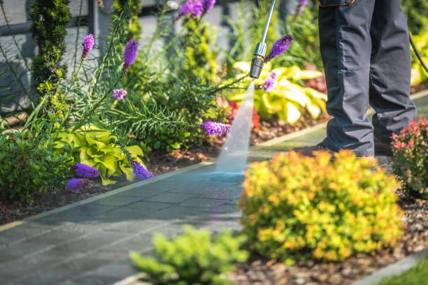 Best Restaurant Pressure Washing  in Ormond By The Sea, FL