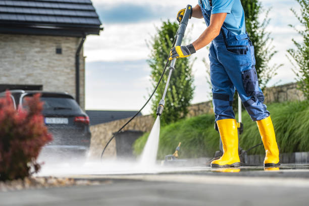 Best Graffiti Removal  in Ormond By The Sea, FL